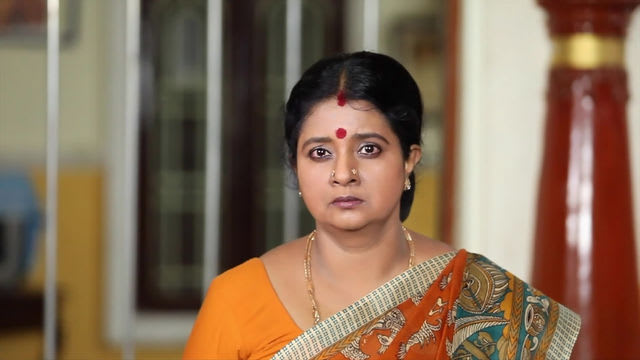 Watch Chinnathambi TV Serial Episode 219 - Chinnathambi Meets