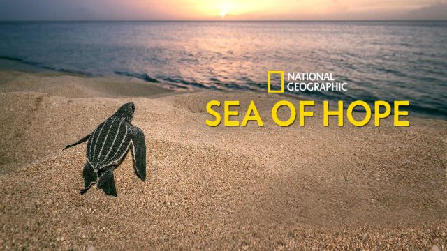 Watch Sea of Hope: America's Underwater Treasures Full 