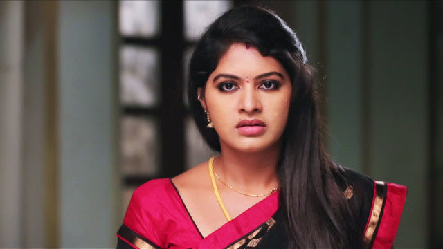vijay tv serial saravanan meenakshi watch online vijay tv serial saravanan meenakshi watch online