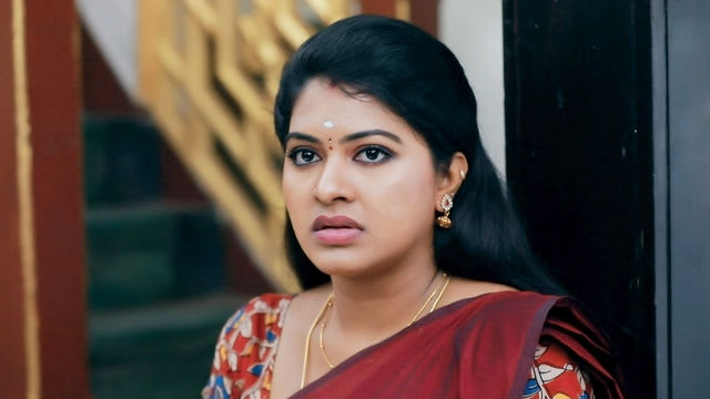 Watch Saravanan Meenatchi TV Serial Episode 169 - All Eyes on Meenakshi ...