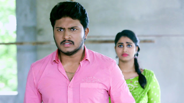 Tamil serial vijay tv pagal nilavu