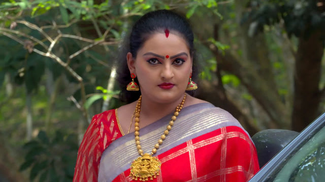 Watch Vanambadi TV Serial Episode 52 - Padmini Meets Chandran Full ...