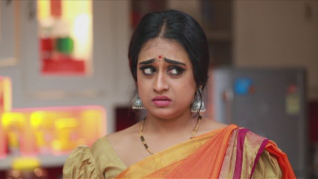 Watch Raja Rani TV Serial Episode 161 - Archana, Vadivu Feel Awkward ...