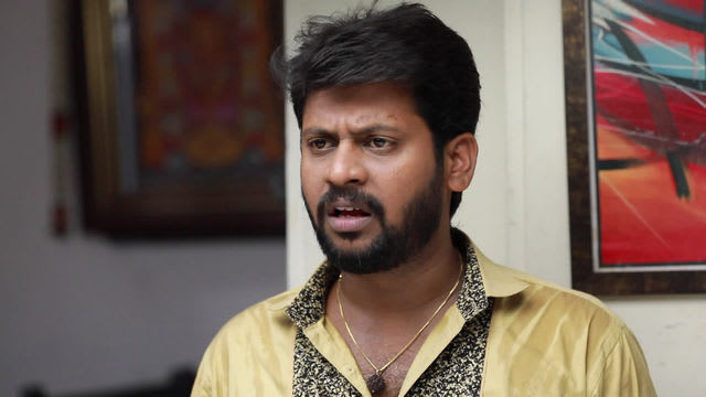 Watch Saravanan Meenatchi TV Serial Episode 395 - Theft at Saravanan's ...