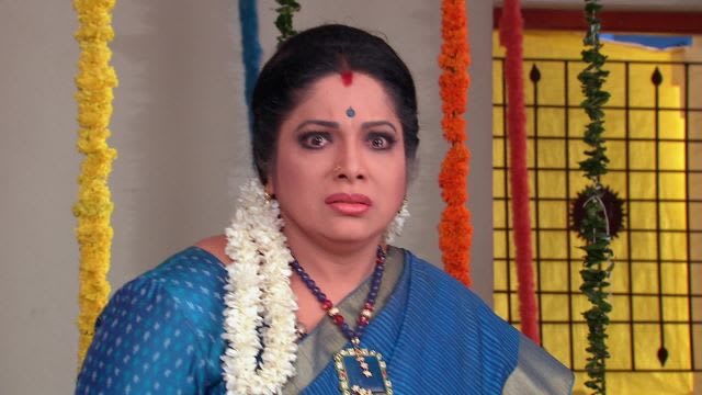 Watch Kumkuma Puvvu TV Serial Episode 279 - Jayanthi Stands as a ...