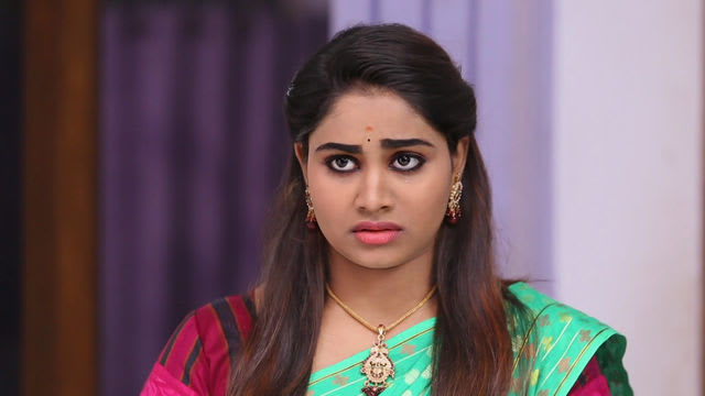 Watch Pagal Nilavu TV Serial Episode 254 - Sneha Gets Cornered Again ...