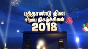 vijay tv shows new year