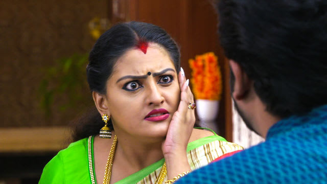 Watch Vanambadi TV Serial Episode 14 - Mohan Slaps Padmini! Full ...