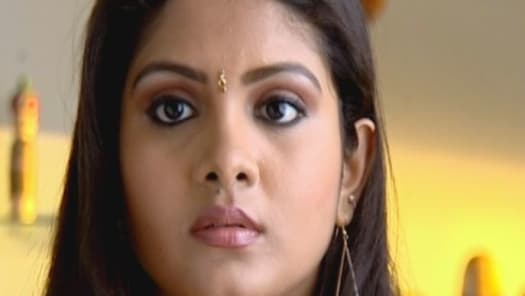 parasparam serial actress name and details