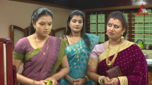 Go8pm Malayalam Serial Bharya